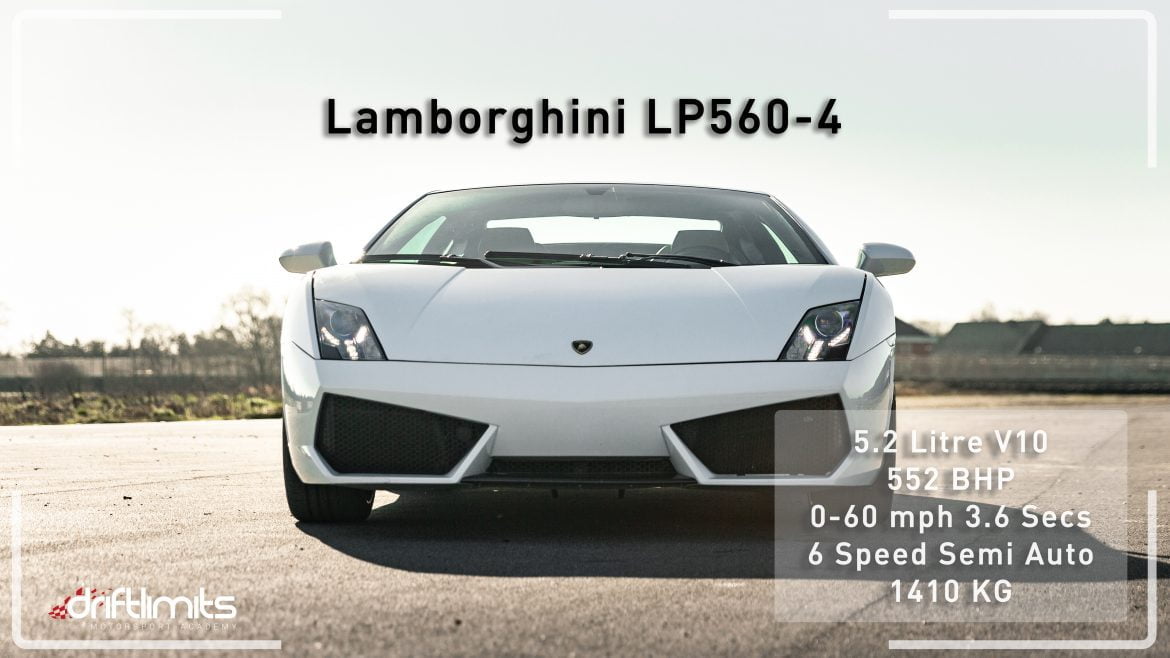 White Lambo Fact Sheet